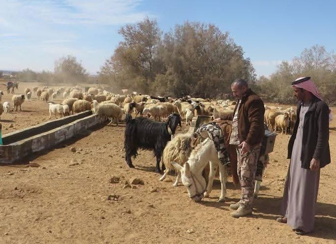 خواطر من الذاكرة ..  "آبار سقاية المواشي" آبار الجفاف "بئر الحصيده مثالا"