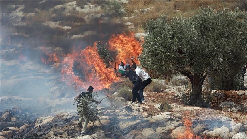  مستوطنون يضرمون النار بأراض فلسطينية وسط الضفة
