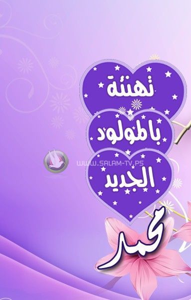 مبارك المولود الجديد محمد عمايرة 