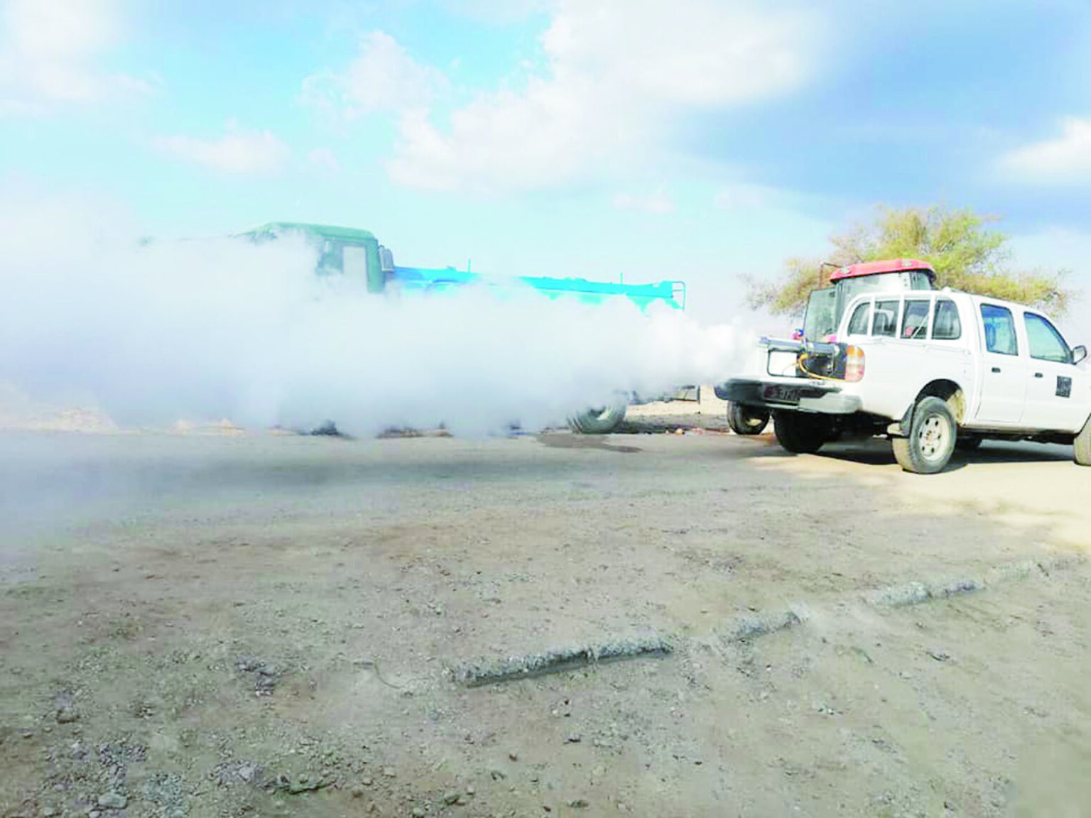 انتشار الحشرات بالأغوار ..  معاناة موسمية ومكافحة غير مجدية