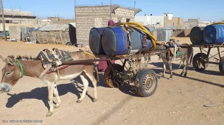 أزمة الوقود تعيد الاعتبار لـ"الحمير" في لبنان ..  حياة شبه بدائية