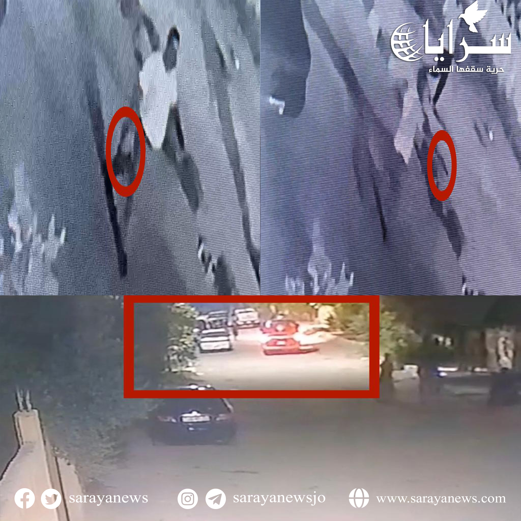 بالفيديو  ..  رئيس بلدية واشقاؤه يهاجمون منزل مواطن بالأسلحة النارية والهراوات لانتقاده أداء البلدية 