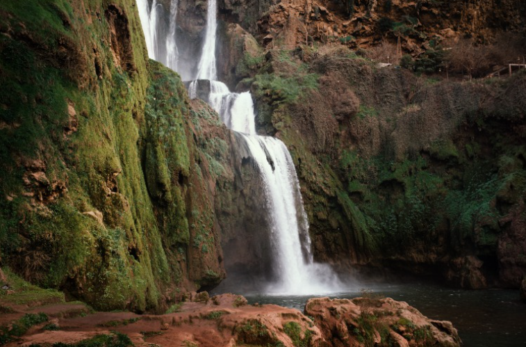 بالصور  ..  أجمل الرحلات اليومية في مدينة مراكش المغربية