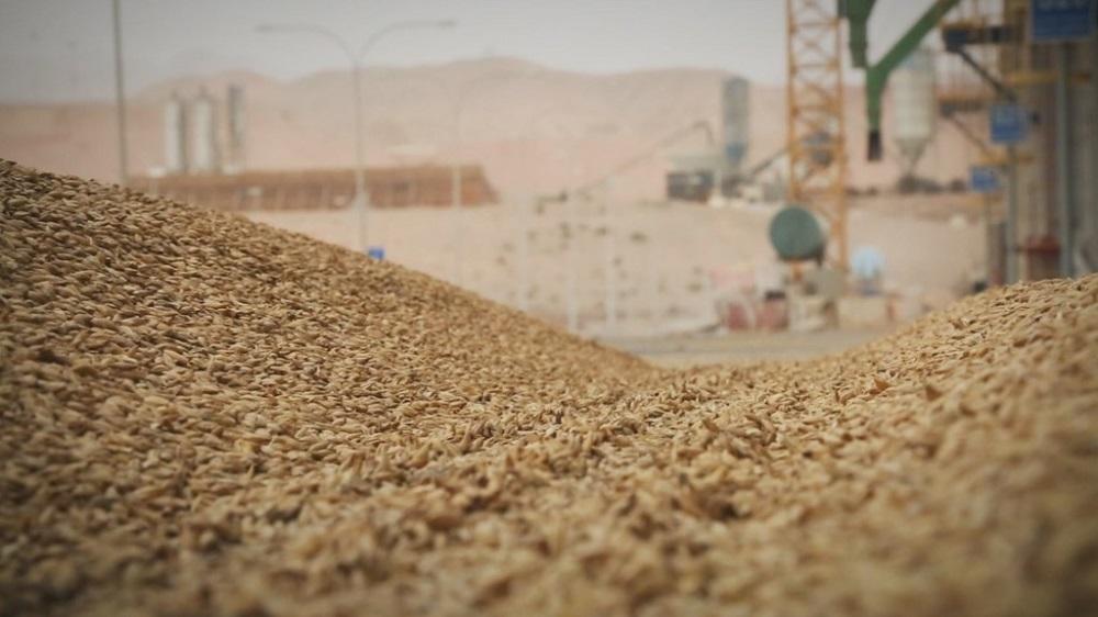 المخزون الاستراتيجي من القمح في الأردن "يكفي لـ 15 شهرا"