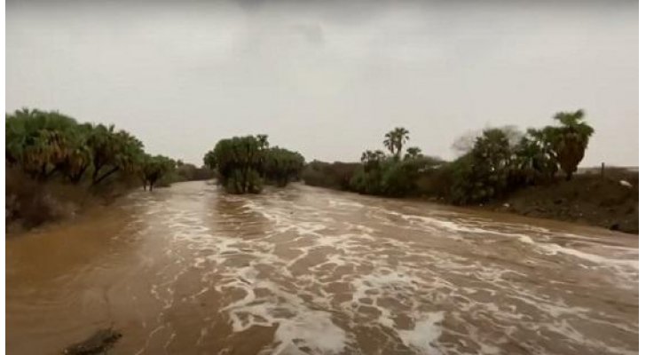 مديرية الامن العام تجدد تحذيرها من الغبار والسيول في مناطق القريبة من الحدود الشمالية للمملكة