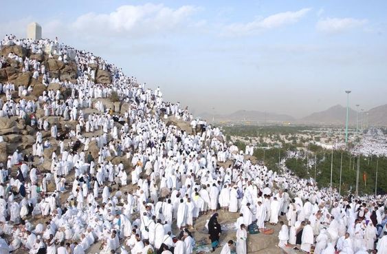 تفسير حلم رؤية يوم وقفة عرفة في المنام