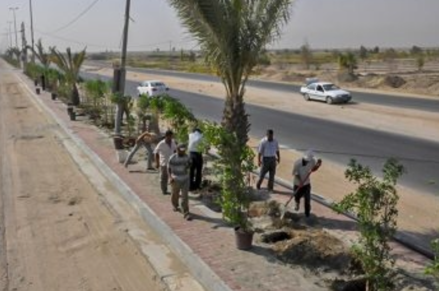 في العراق ..  تشجير شارع يكلف خزينة الدولة "124 مليار دينار"
