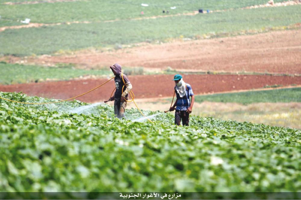  كورونا تفاقم أزمة القطاع الزراعي في الأغوار الجنوبية