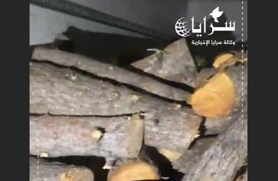 ضبط 10 طن من الحطب المهرب في عجلون ..  فيديو