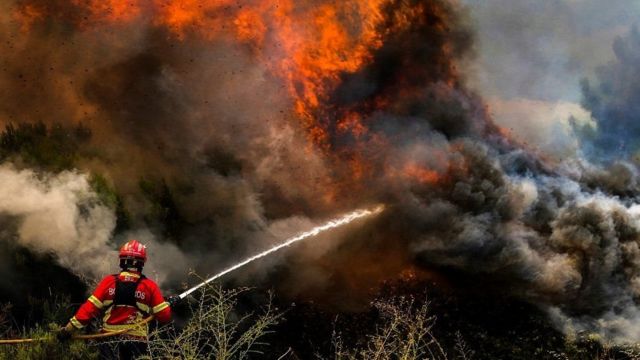 حريق كبير يمتد من الأراضي المحتلة إلى الأراضي الأردنية في الباقورة