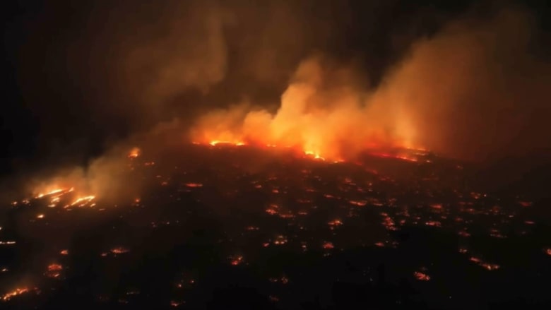 السفارة الأردنية في واشنطن تدعو الأردنيين في ماوي إلى الحيطة والحذر بسبب الحرائق 