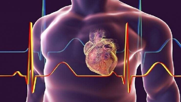 'اختراق طبي' يمكن أن يساعد في علاج قصور القلب!