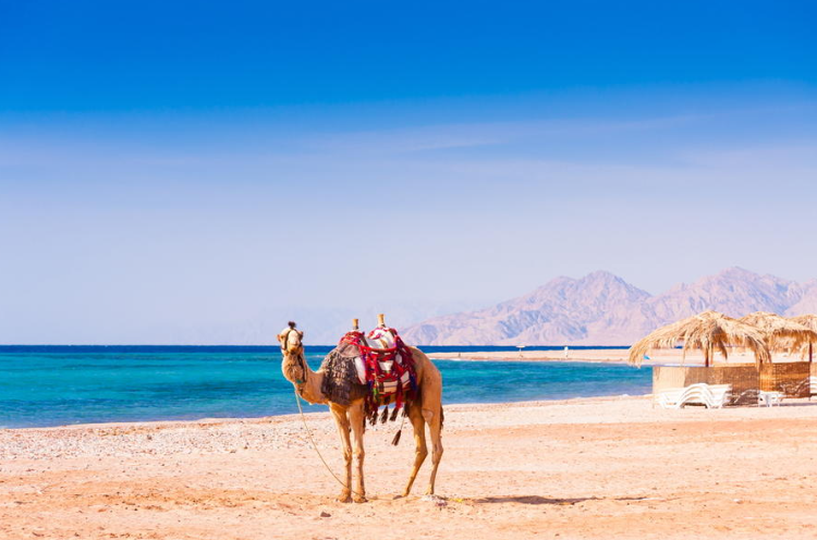 بالصور  ..  عناوين سياحية مناسبة لجميع أفراد العائلة في مصر