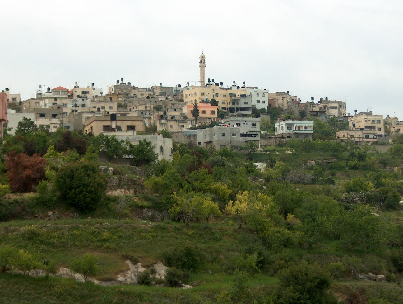 المستوطنون احرقوا 31 مسجدا منذ 2009