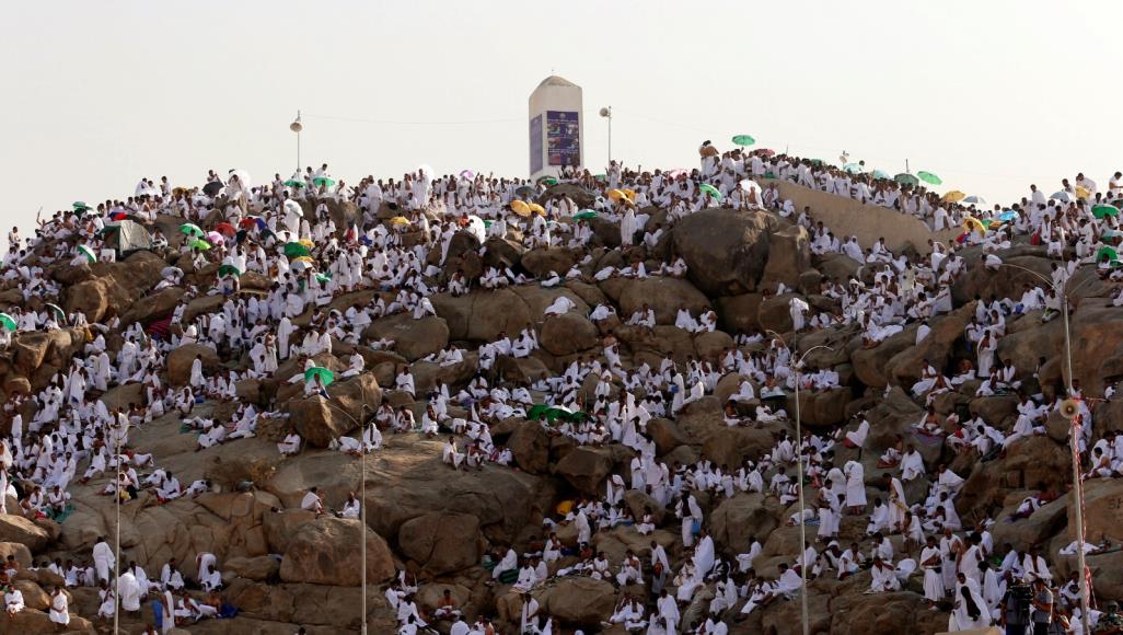 تعرف على أعداد الحجاج في 50 عاما - صورة 