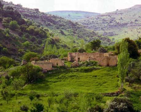 متصرف لواء الاغوار القاضي لسرايا: إجراءات أمنية لمواكبة الحركة والنشاط السياحي في الأغوار الشمالية  .. "تفاصيل"