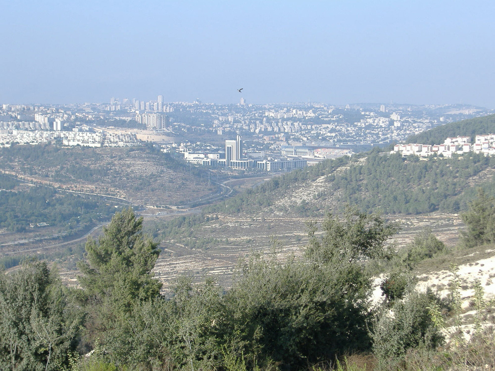 بالفيديو ..  تعرفوا على قرية المالحة المهجرة - القدس