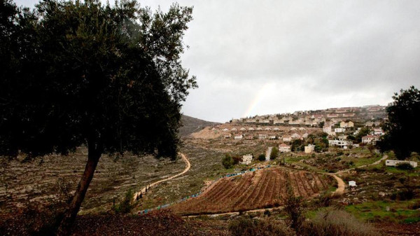 من "صياح ديك" صودرت فلسطين