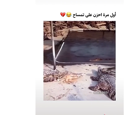 مضحك جدًا  ..  لما يكون حظك ردي !!