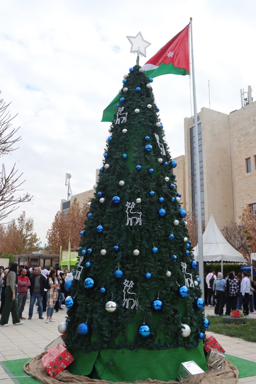 الجامعة الأميركية في مادبا تضيء شجرة الميلاد