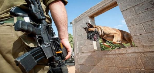 كلب لجيش الإحتلال وثق مقتل 3 رهائن "بالخطأ"