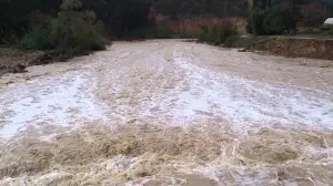 بالفيديو ..  أمطار غزيرة وسيول في وادي عربة 