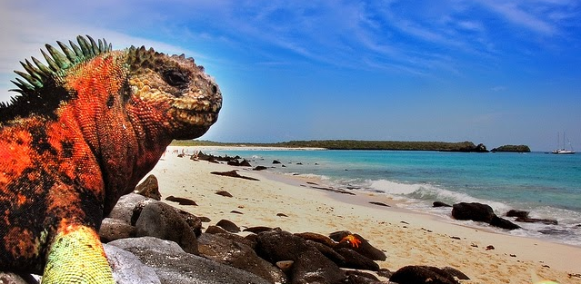 بالصور .. تعرف على أجمل الأماكن  في أمريكا الجنوبية