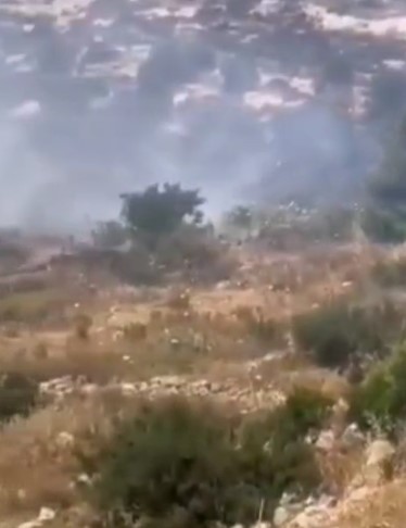 حريق دابوق يمتد بين الأشجار  ..  وتوافد لسيارات الدفاع المدني من أجل السيطرة عليه - فيديو 