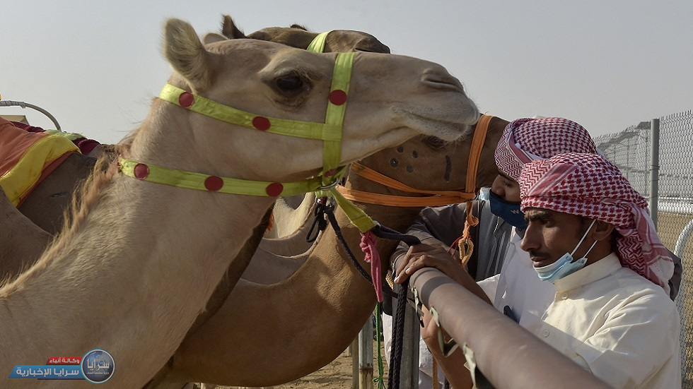 بالفيديو  ..  بكاء سائح أمريكي بعد هدية "رد معروف" من سعودي 