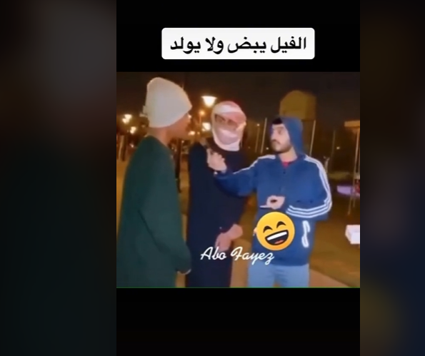 شاهد اجابات هؤلاء الشبان على سؤال المذيع :"الفيل يلد أو يبيض؟"