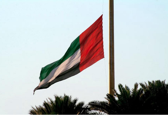 الإمارات ..  إحالة أجانب تظاهروا ضد حكومة بلدهم لمحاكمة عاجلة