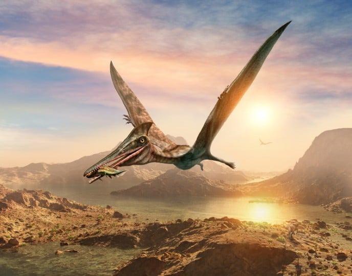 اكتشاف نوع جديد من الزواحف الطائرة عمره 100 مليون عام