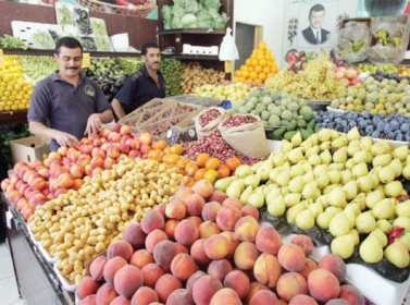 منتجو ومصدرو خضراوات وفواكه: نقص العمالة الزراعية يلحق ضررا بالعقود التصديرية