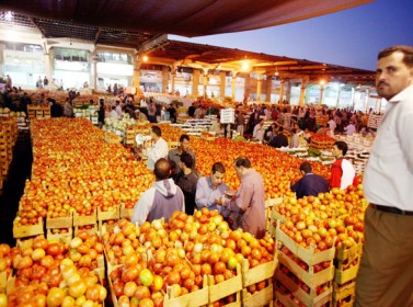 ترجيح انخفاض أسعار الخضار بعد طرح موسم "الأغوار"