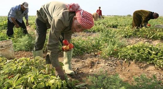 الزراعة النيابية تبحث تحديات القطاع