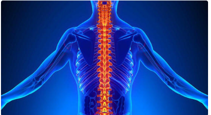3 نصائح لحماية العمود الفقري من الانحناء مع تقدّم العمر