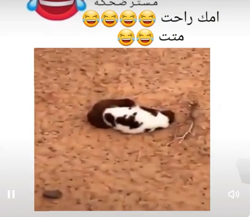 فيديو مضحك  ..  أمه ذهبت فقام يبحث عنها !