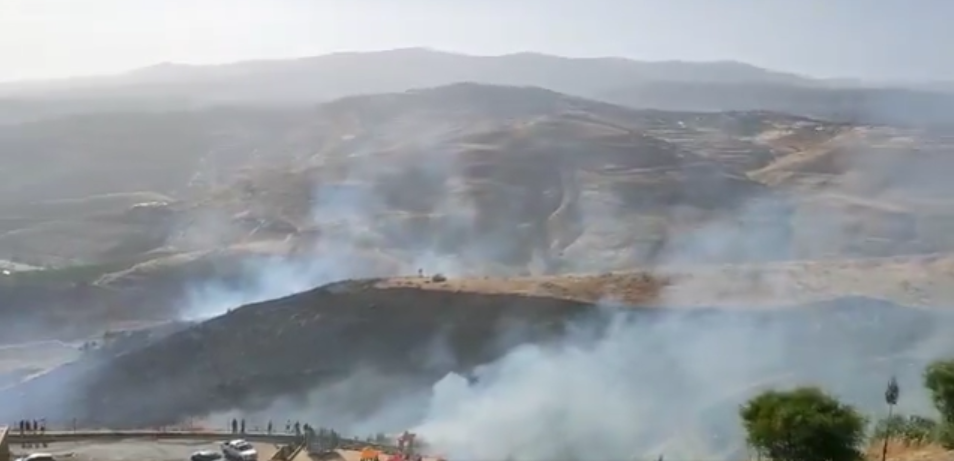 بالفيديو  ..  حريق يجتاح مساحات واسعة على طريق اربد - عمان