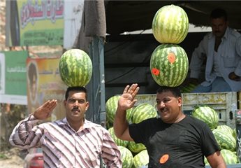 ما لا تعرفه عن البطيخ الفلسطيني!