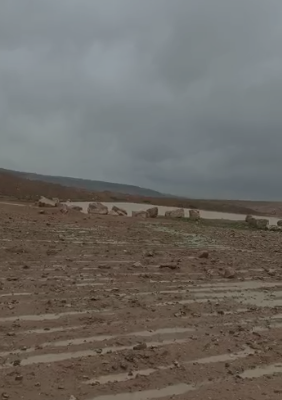 بالفيديو  ..  مربو ماشية في الغباوي يثمنون جهود وزارة الزراعة في تنفيذ مشاريع الحصاد المائي