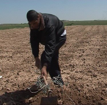 بالصور  .. إحياء ذكرى يوم الأرض على حدود القطاع الشمالية و الاحتلال يفتح النار