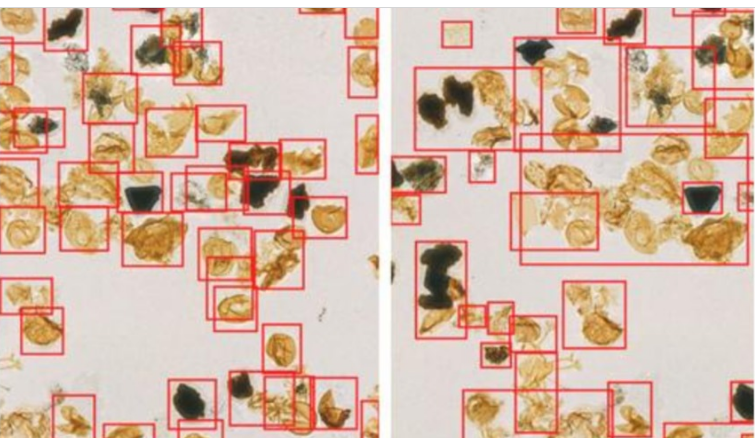 لغز 3 مليارات من الأحافير الدقيقة يمكن حله بالذكاء الاصطناعي
