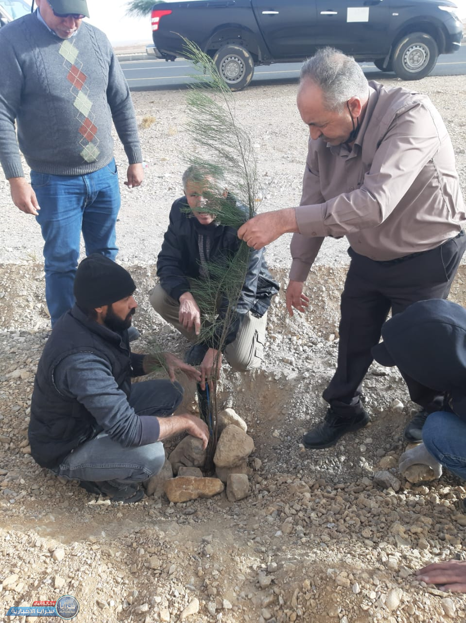 الزراعة المباشرة في زراعة الأشجار الحرجية في مداخل المحافظات الجنوبية والخط الصحراوي 