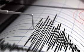 3 قتلى و7 جرحى في زلزال في جزيرة بالي الإندونيسية 