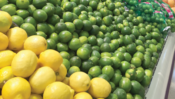 اسعار الليمون تواصل ارتفاعها محليا  ..  170 قرشا للكيلو
