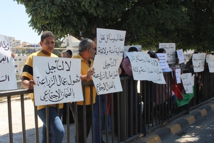 وقفة احتجاجية للعاملين في قطاع الزراعة أمام مجلس النواب - صور 