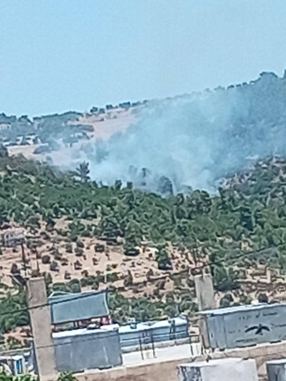 حريق ضخم في عجلون  ..  والدفاع المدني يستعين بالمروحيات لإخماده  ..  فيديو 