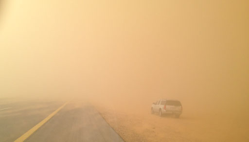 السعودية : الغبار الكثيف يتسبب في فقدان مسن بـ"طفيل الليث"