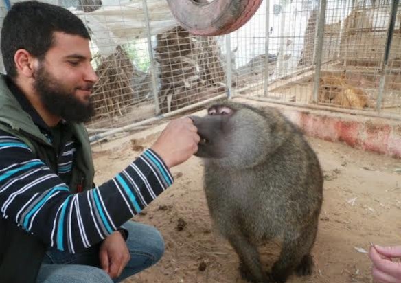 بالصور  ..  فلسطيني يحول ساحة منزله لحديقة حيوان خاصة