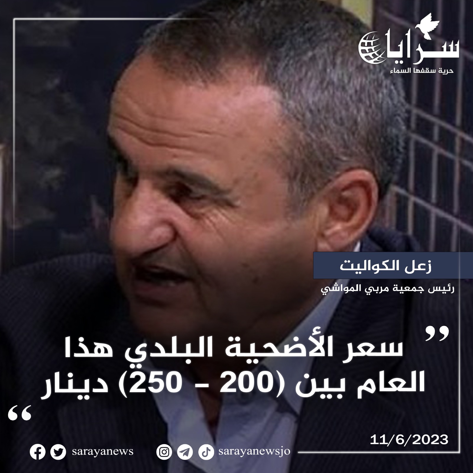 الكواليت لـ"سرايا":سعر الأضحية البلدي هذا العام بين (200 - 250) دينار